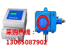 RBK-6000-2型氨气浓度报警器